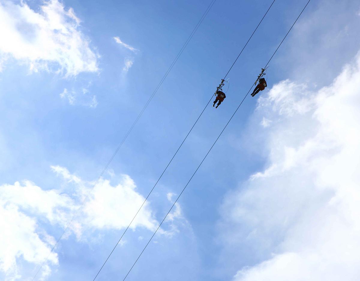 Nami Island + Gapyeong Begonia Bird Park One Day Tour