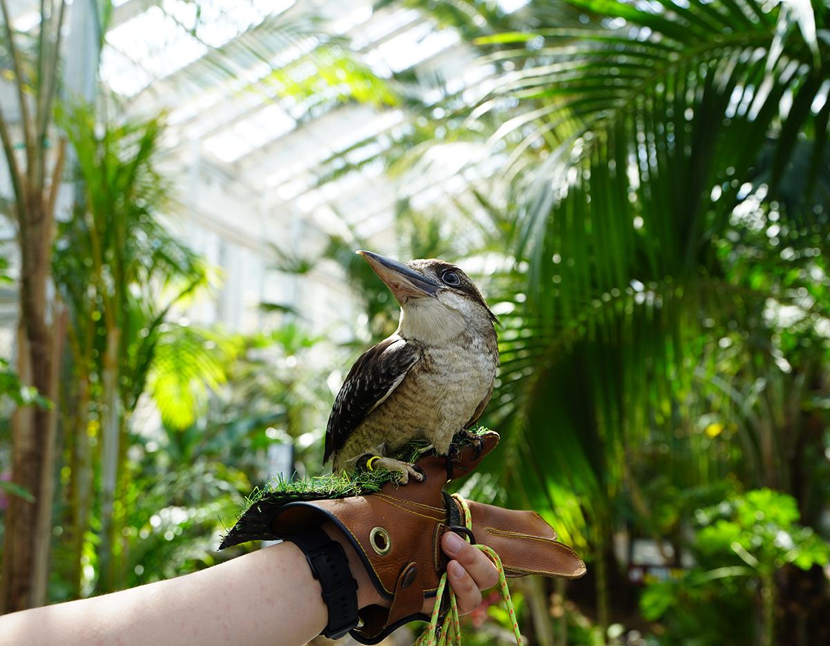 Nami Island + Gapyeong Begonia Bird Park One Day Tour