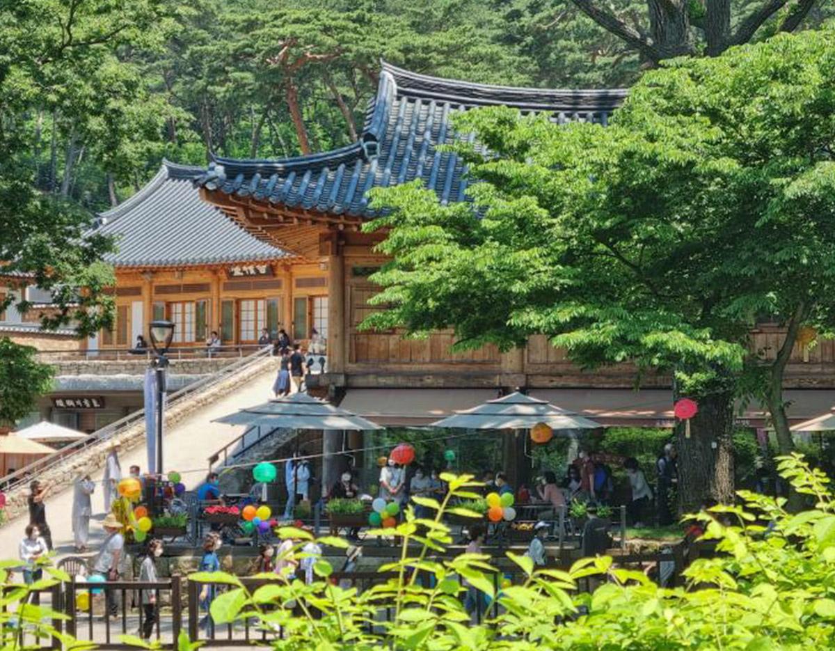 Aegibong DMZ & Suspension Bridge / Eunpyeong Hanok Village Day Tour