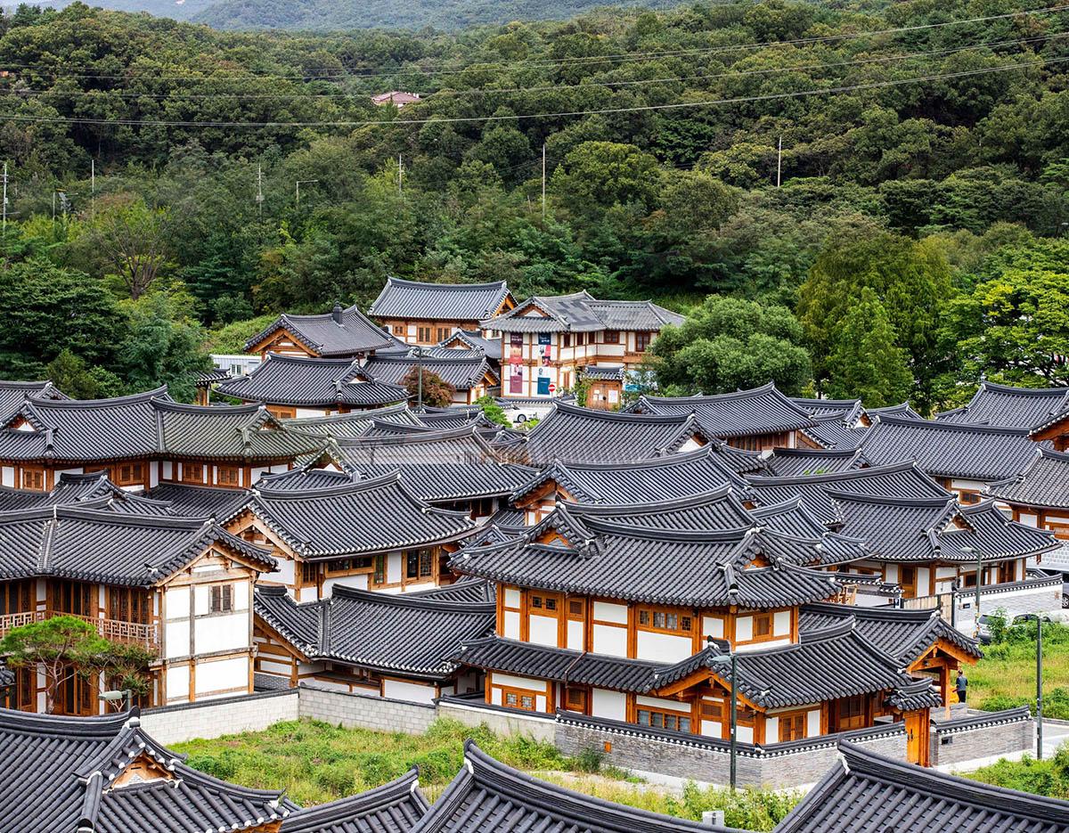 Aegibong DMZ & Suspension Bridge / Eunpyeong Hanok Village Day Tour