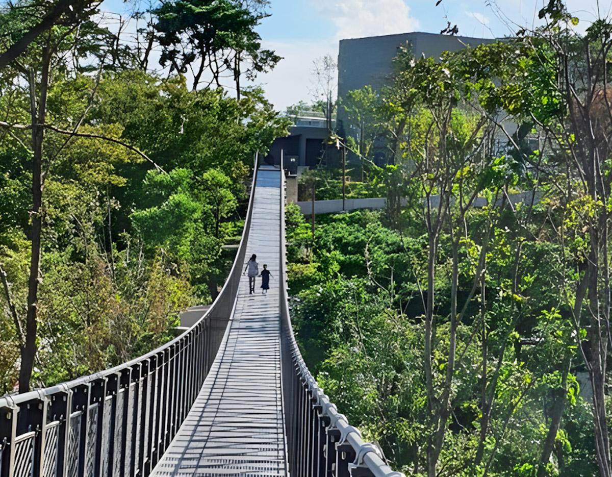 Aegibong DMZ & Suspension Bridge / Eunpyeong Hanok Village Day Tour