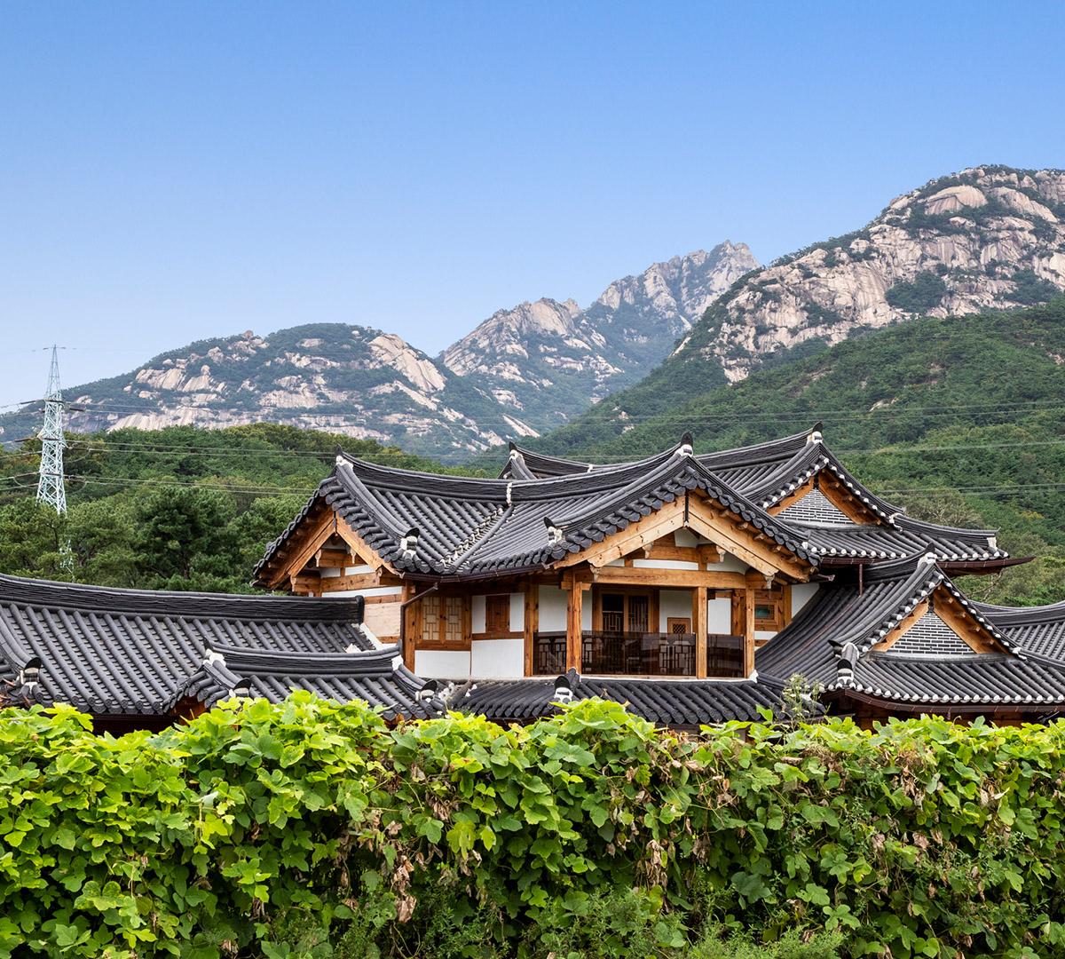 愛妓峰DMZ/吊橋/恩平韓屋村方案任選一日遊（首爾出發）-image