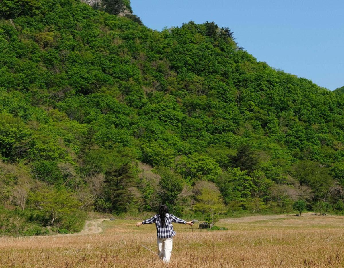 Ulleungdo Village Tour