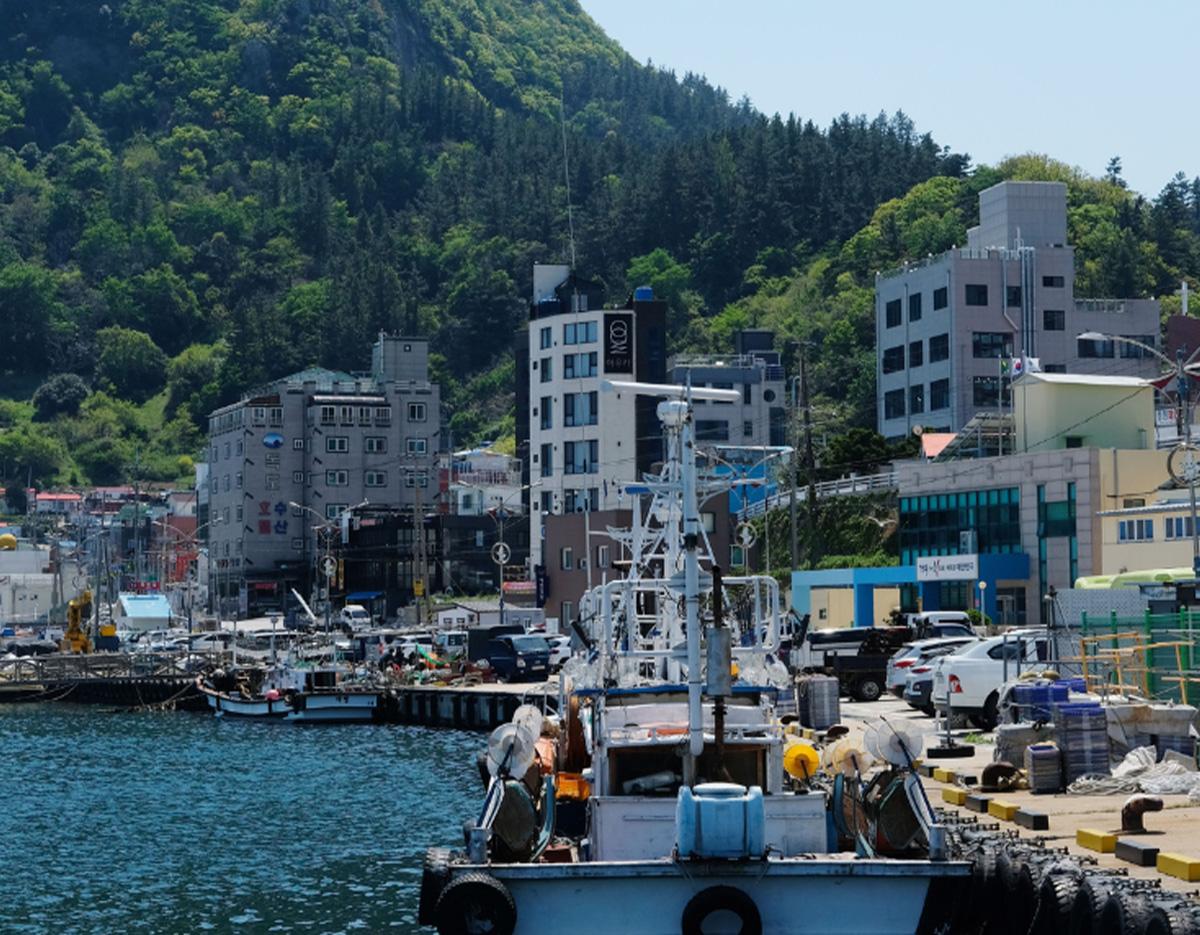 Ulleungdo Village Tour