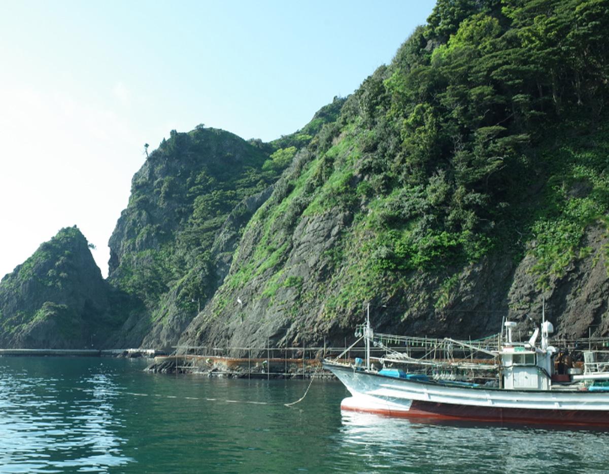 Ulleungdo Village Tour