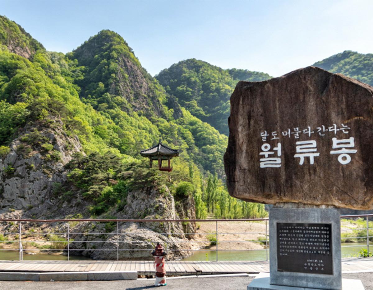 Wollyubong Scenic Cliff