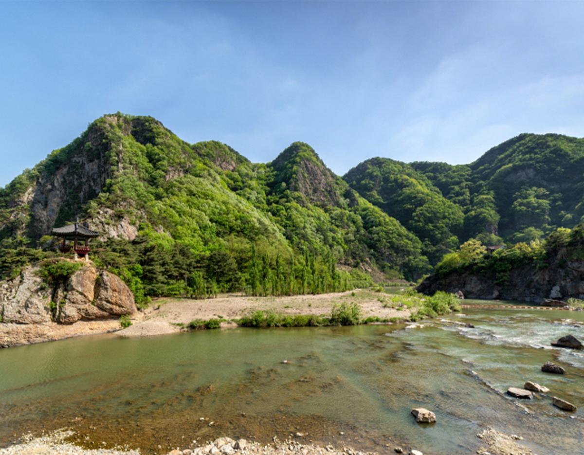 Wollyubong Scenic Cliff