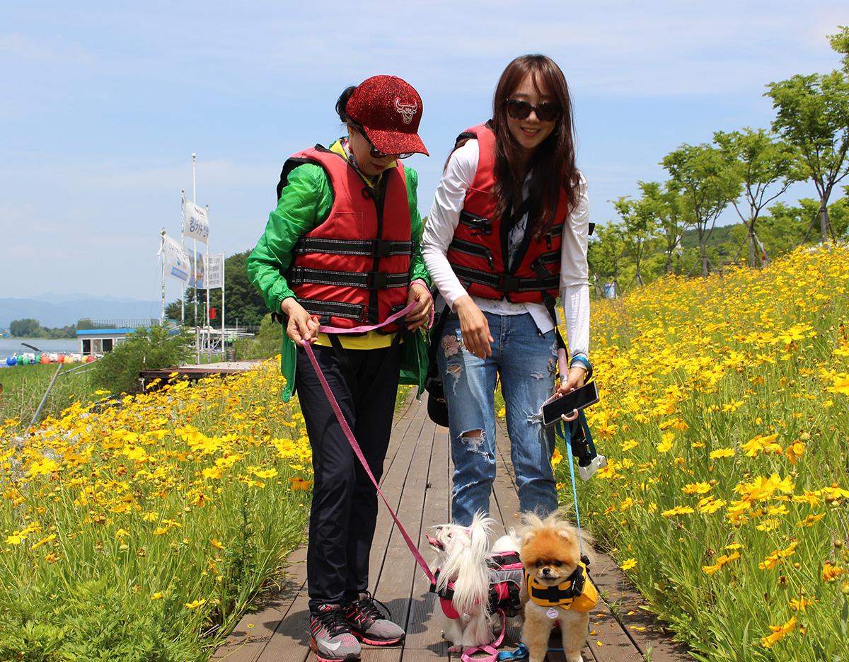 Chuncheon travel