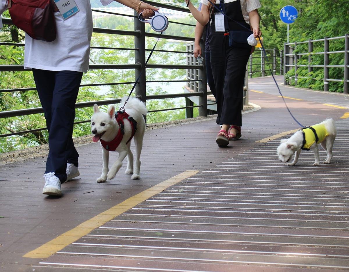Chuncheon travel