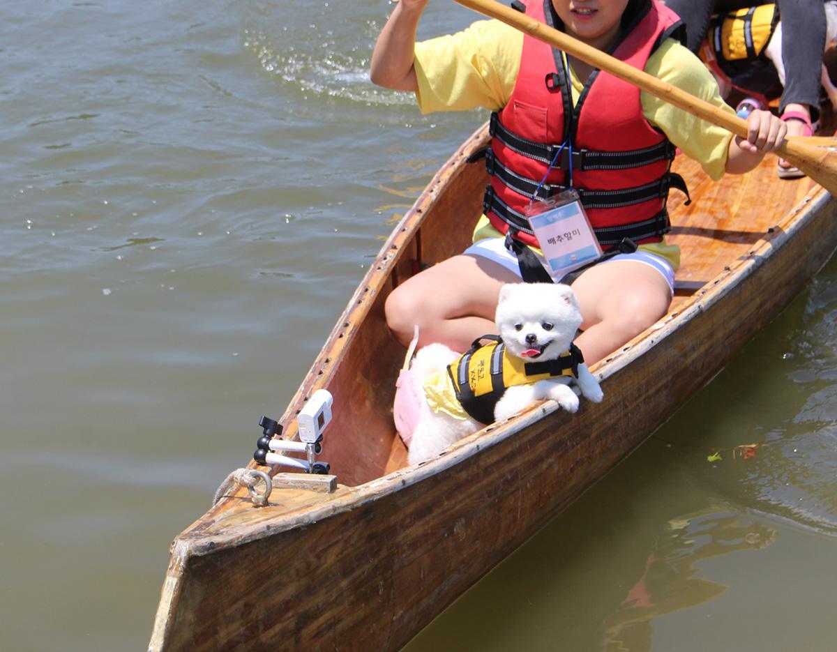 Chuncheon travel