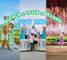 Alpaca World & Begonia Bird Garden + Seoul Sky & Lotte World Adventure Day Tour | Seoul Departure
