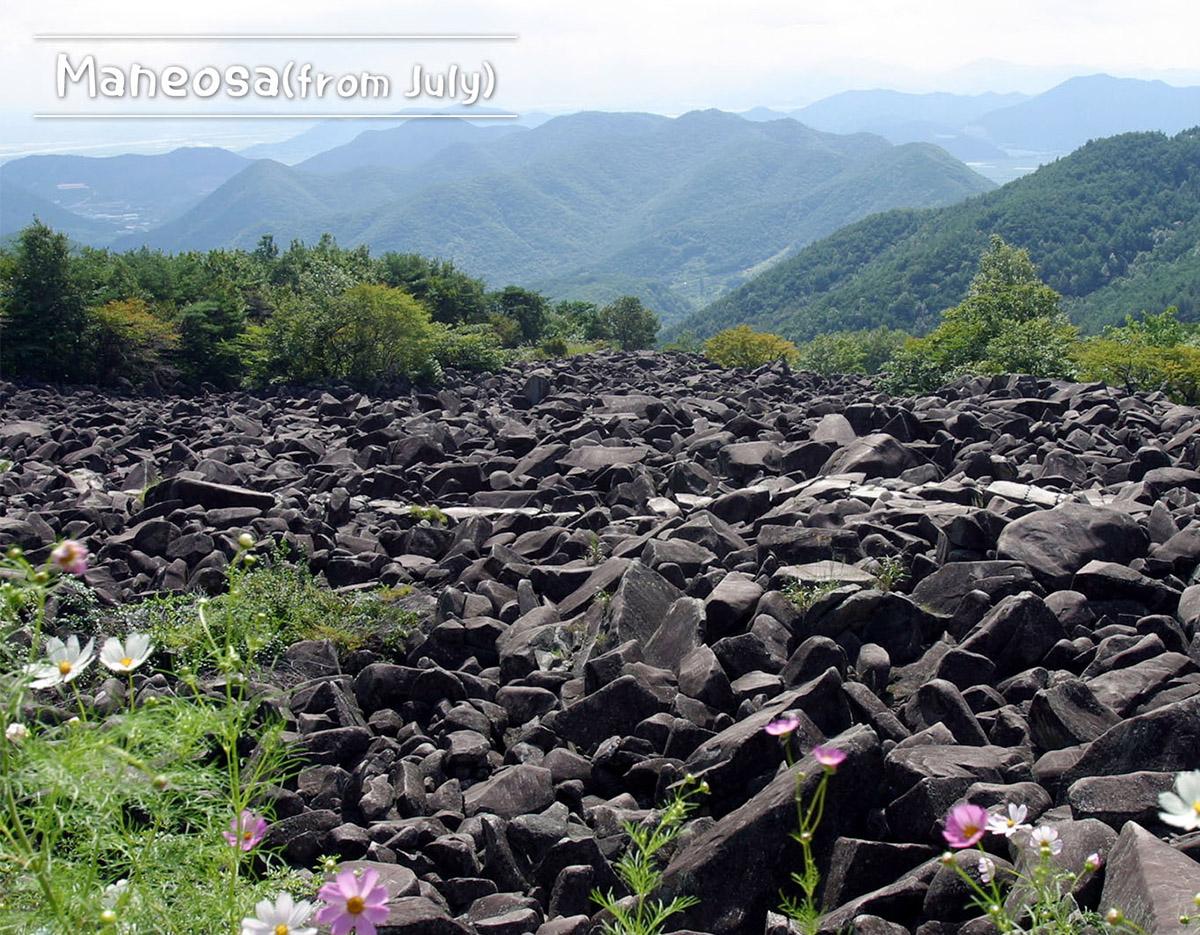 Miryang