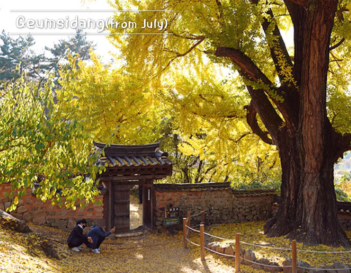 Miryang