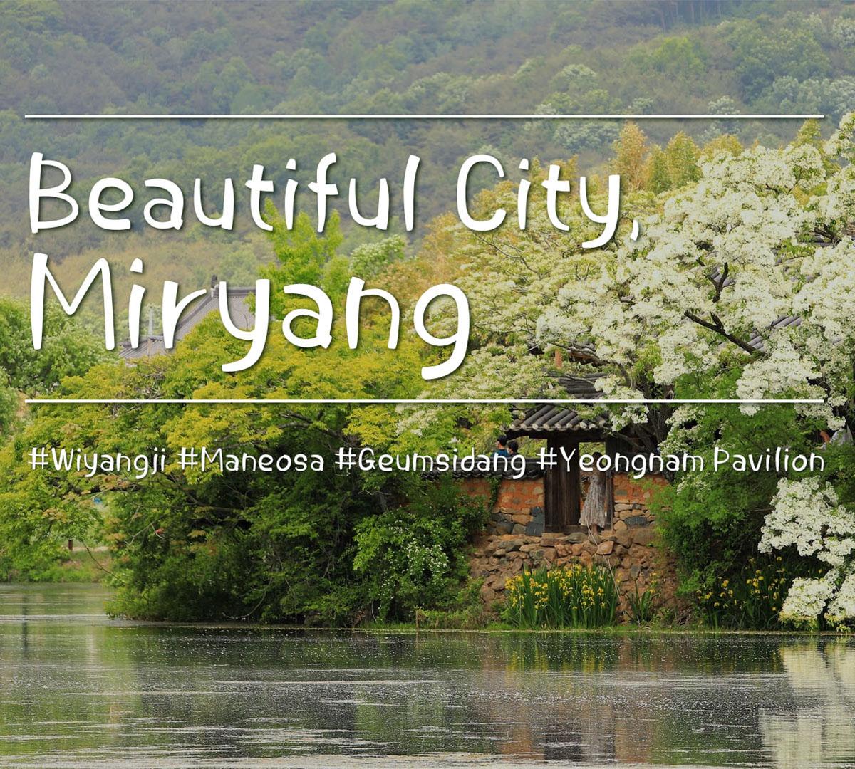 Miryang Day Tour (Maneosa Temple + Geumsidang + Arirang Market + Yeongnamnu Pavilion + Apple Makgeolli Experience) | Busan Departure-image