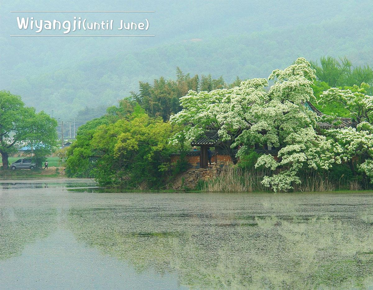 Miryang