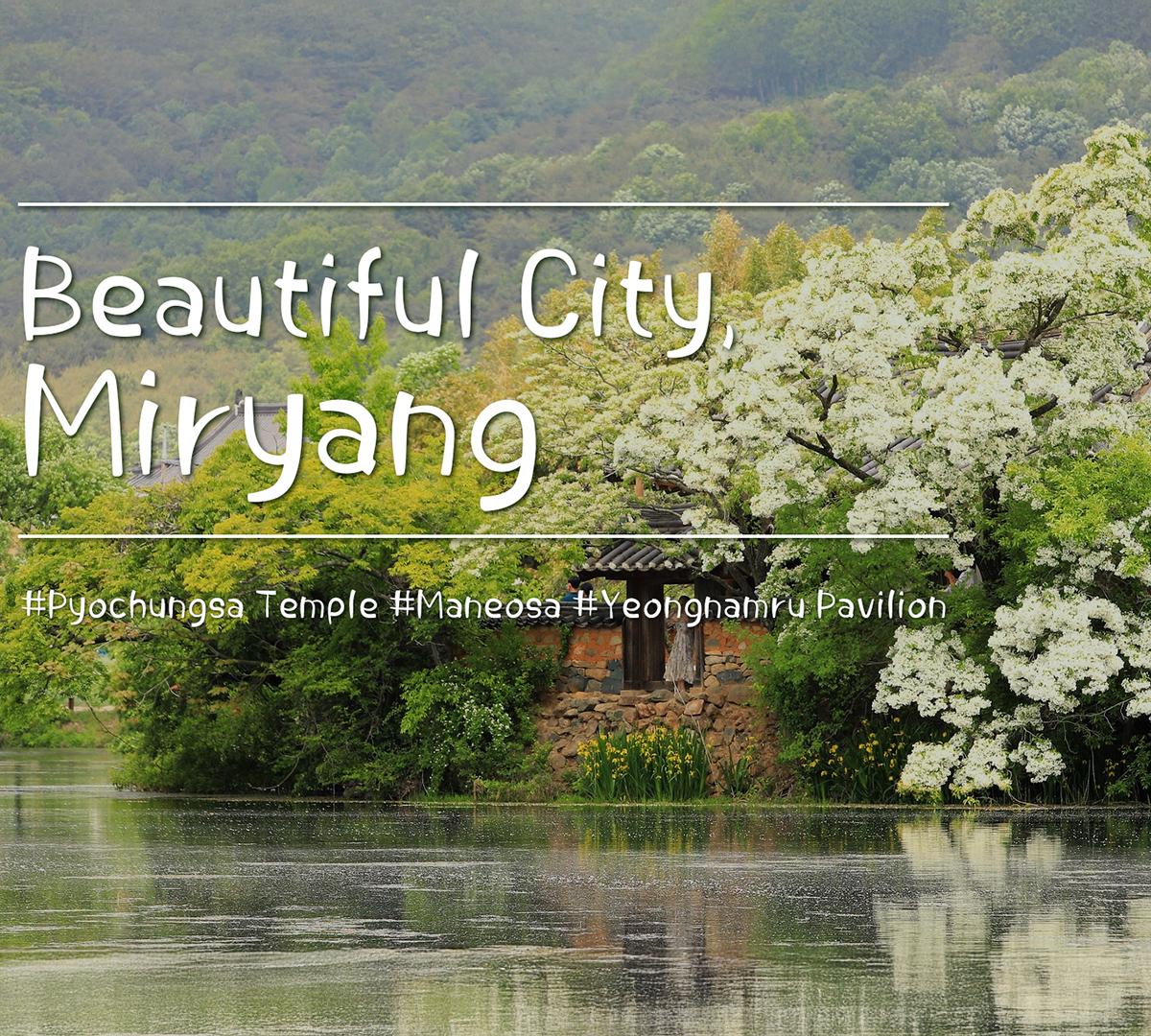 Tur Sehari Miryang (Kuil Maneosa + Kuil Pyochungsa + Pasar Arirang + Paviliun Yeongnamnu + Pengalaman Apple Makgeolli) | Keberangkatan Busan-image