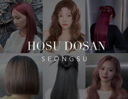 獨家開幕慶至8/31止🎉 HOSU DOSAN建大聖水店（藝人染燙/造型）