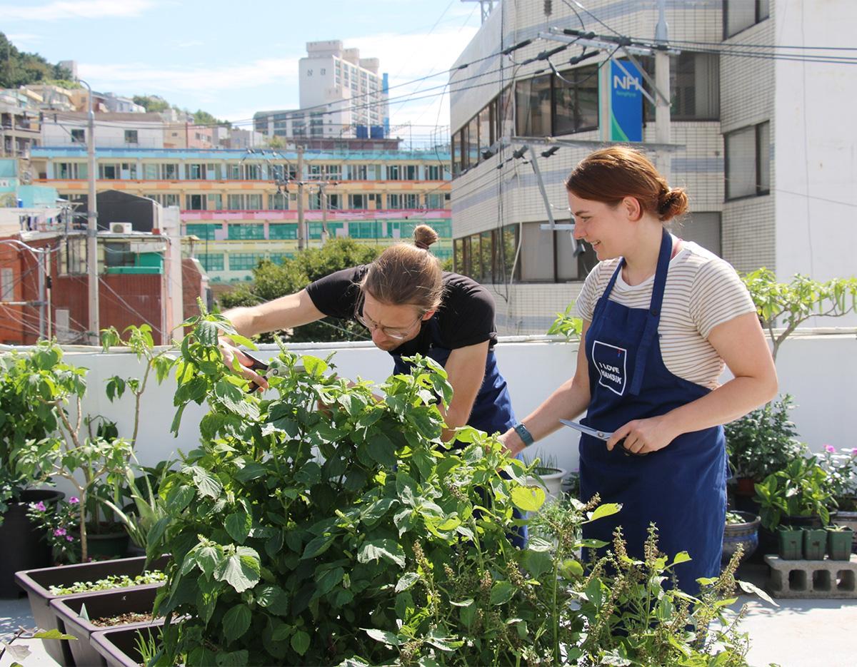 Busan Local food cooking class 