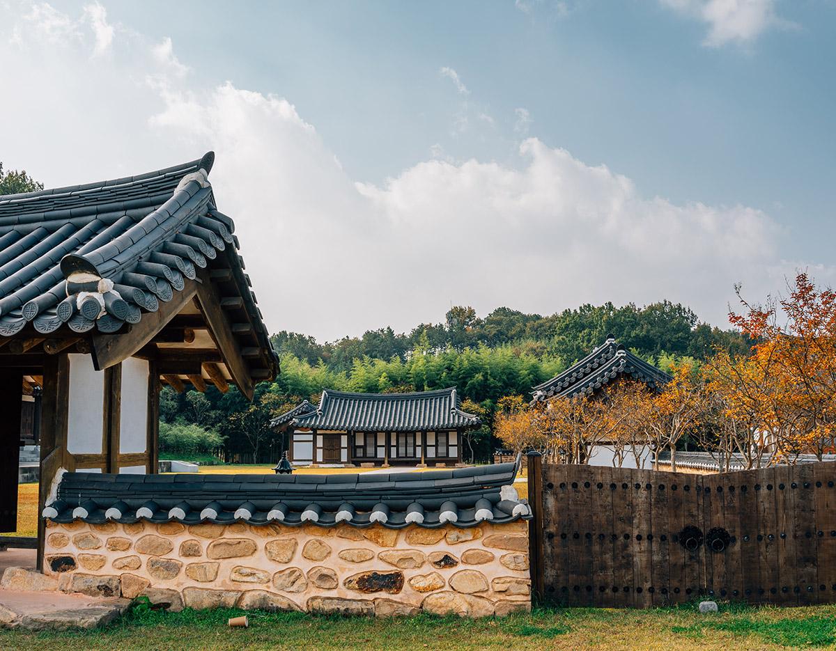 Autumn Special: Damyang Juknokwon Bamboo Forest & Metasequoia-lined Road One Day Tour