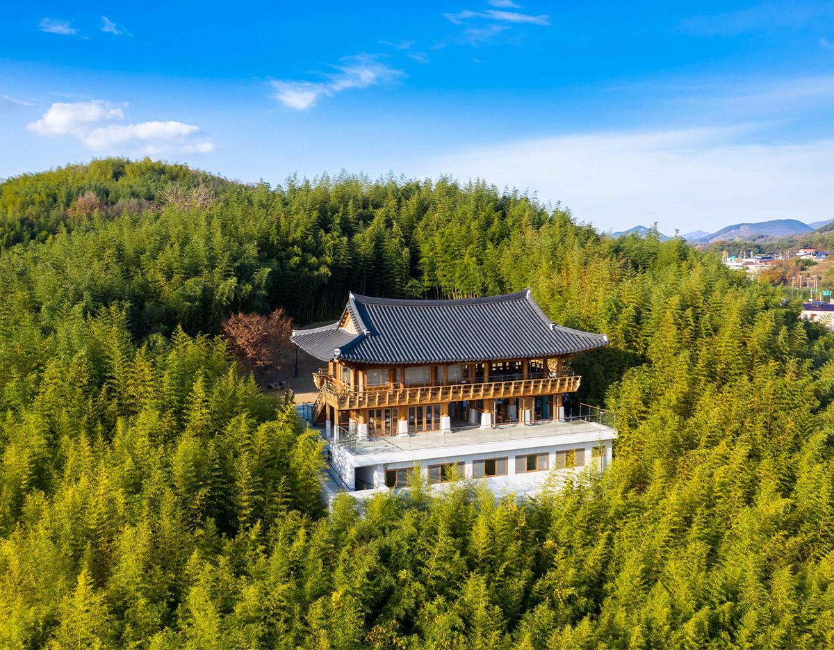 Autumn Special: Damyang Juknokwon Bamboo Forest & Metasequoia-lined Road One Day Tour