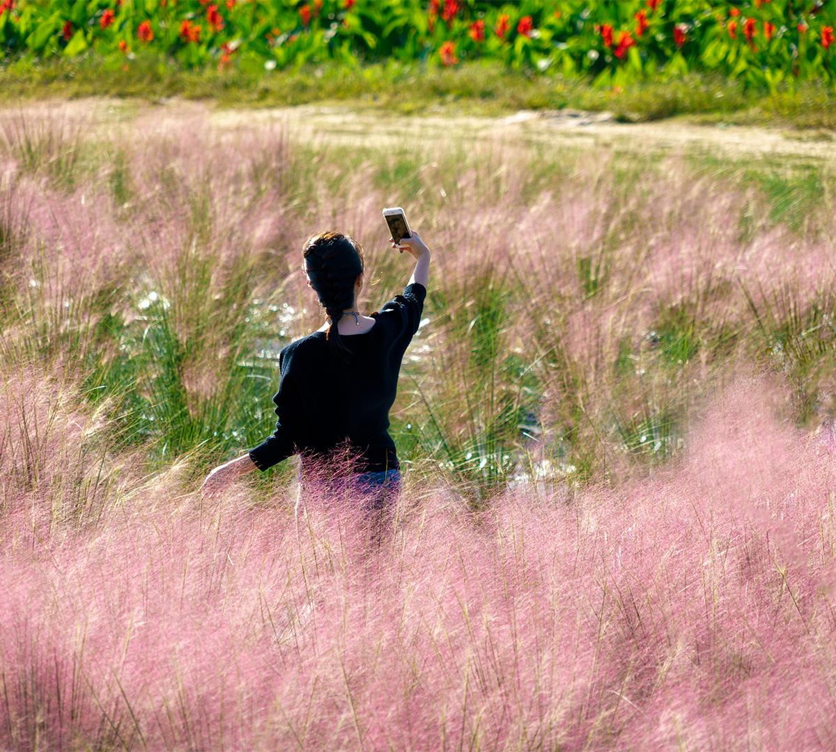 Pink Muhly Festival: Nari Park + Nami Island + Gangchon Rail Bike One-Day Tour (Departure from Seoul)-image