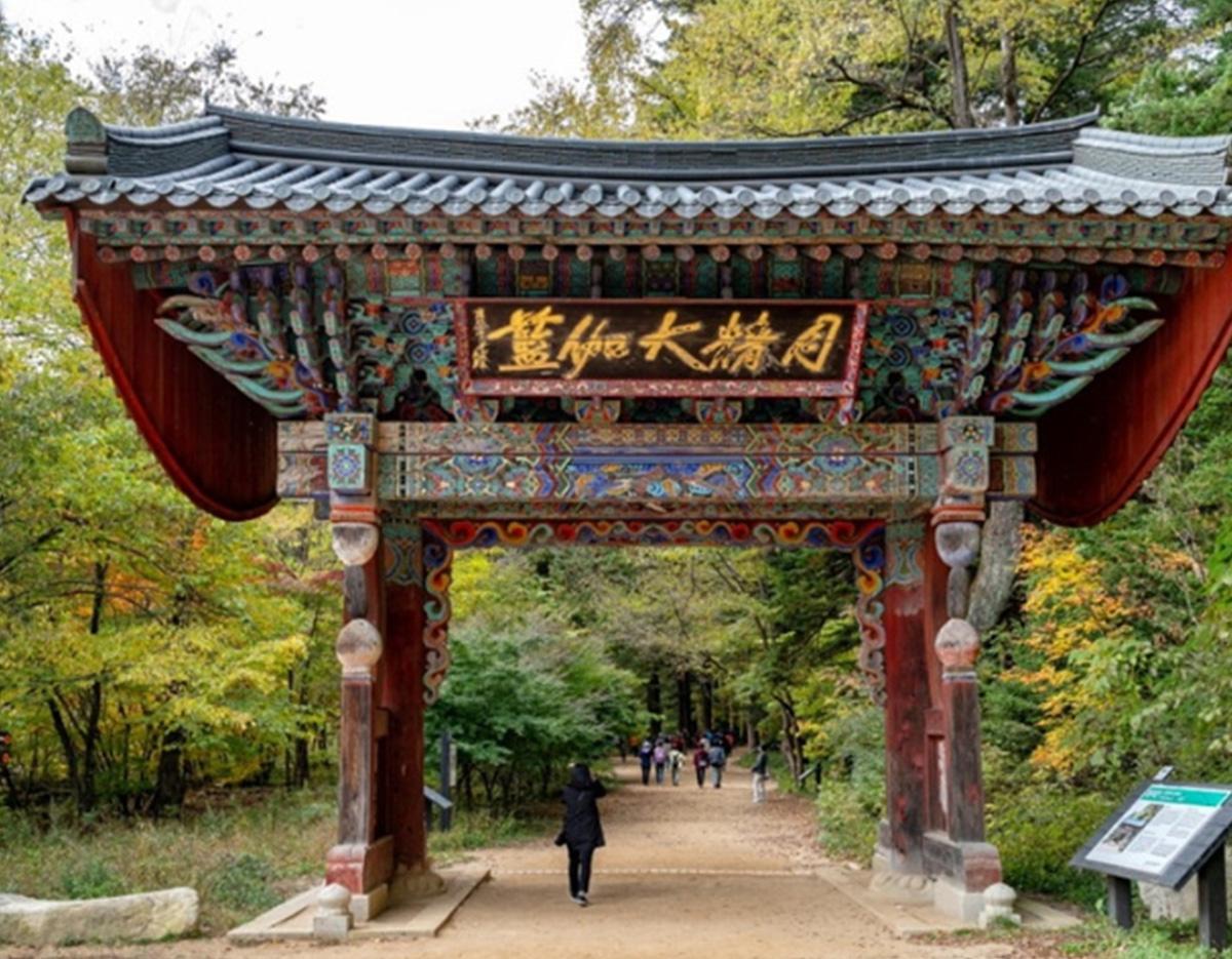 Gangneung Autumn Limited Maple Viewing and Hanok 2Days 1Night Tour