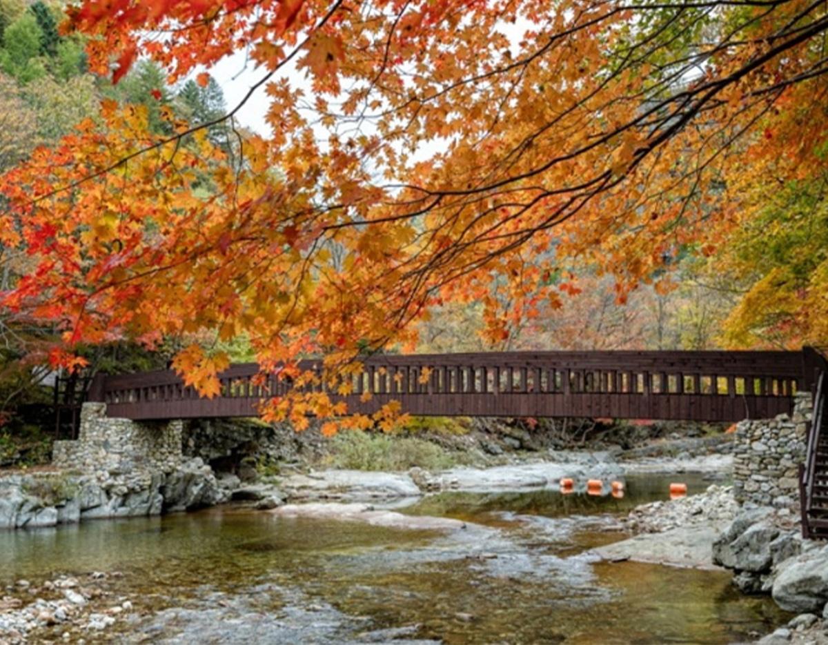 Gangneung Autumn Limited Maple Viewing and Hanok 2Days 1Night Tour