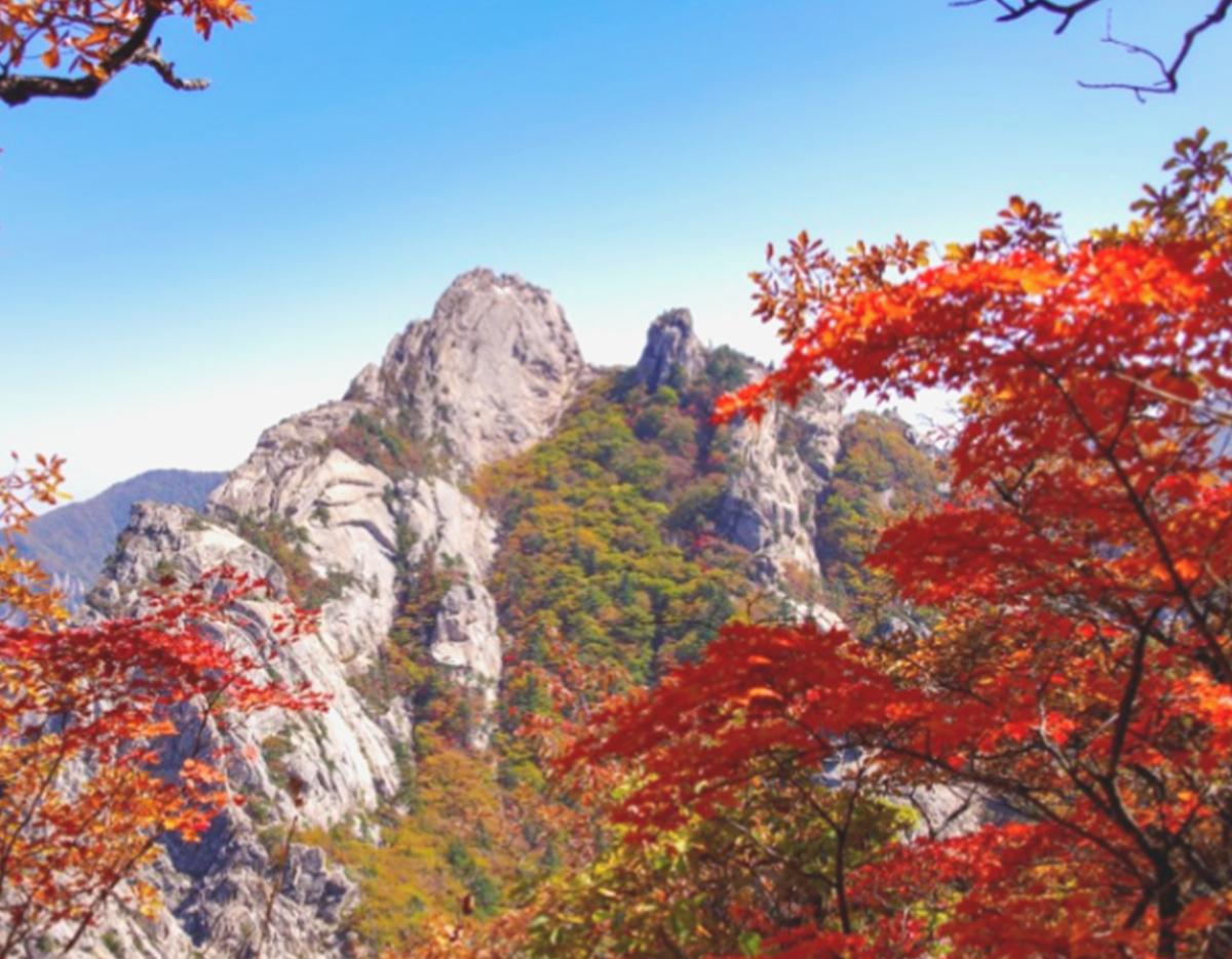 Gangneung Autumn Limited Maple Viewing and Hanok 2Days 1Night Tour