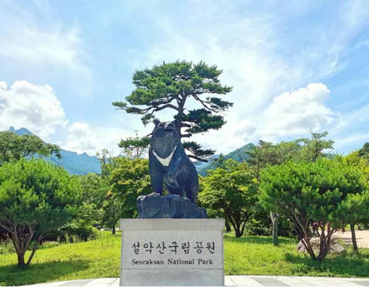 Gangneung Autumn Limited Maple Viewing and Hanok 2Days 1Night Tour