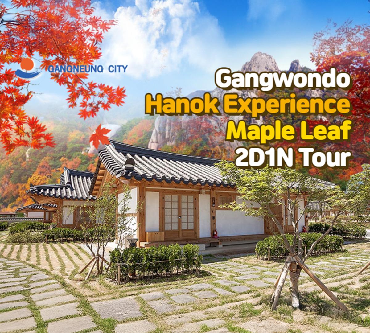 Gangneung Autumn Limited Maple Hanok Experience 1 Night 2 Days Tour (Departure from Seoul)-image