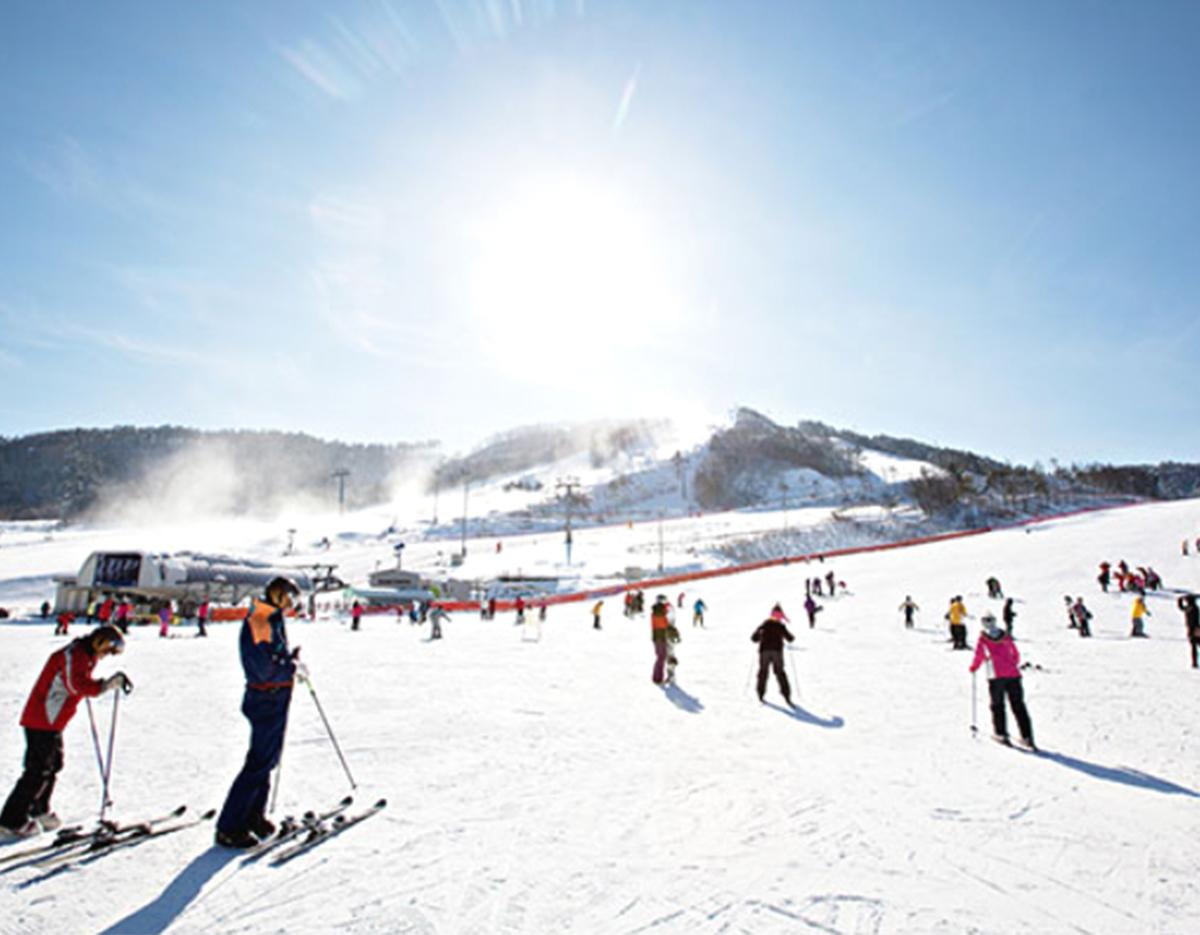 Gangneung Winter Limited Ski and Hanok 2Days 1Night Tour