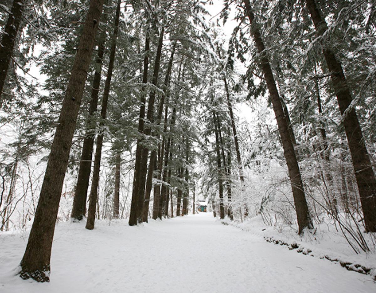 Gangneung Winter Limited Ski and Hanok 2Days 1Night Tour