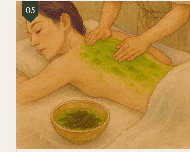 有机海带舒缓疗法图片