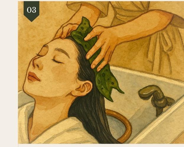 有机治疗头水疗形象