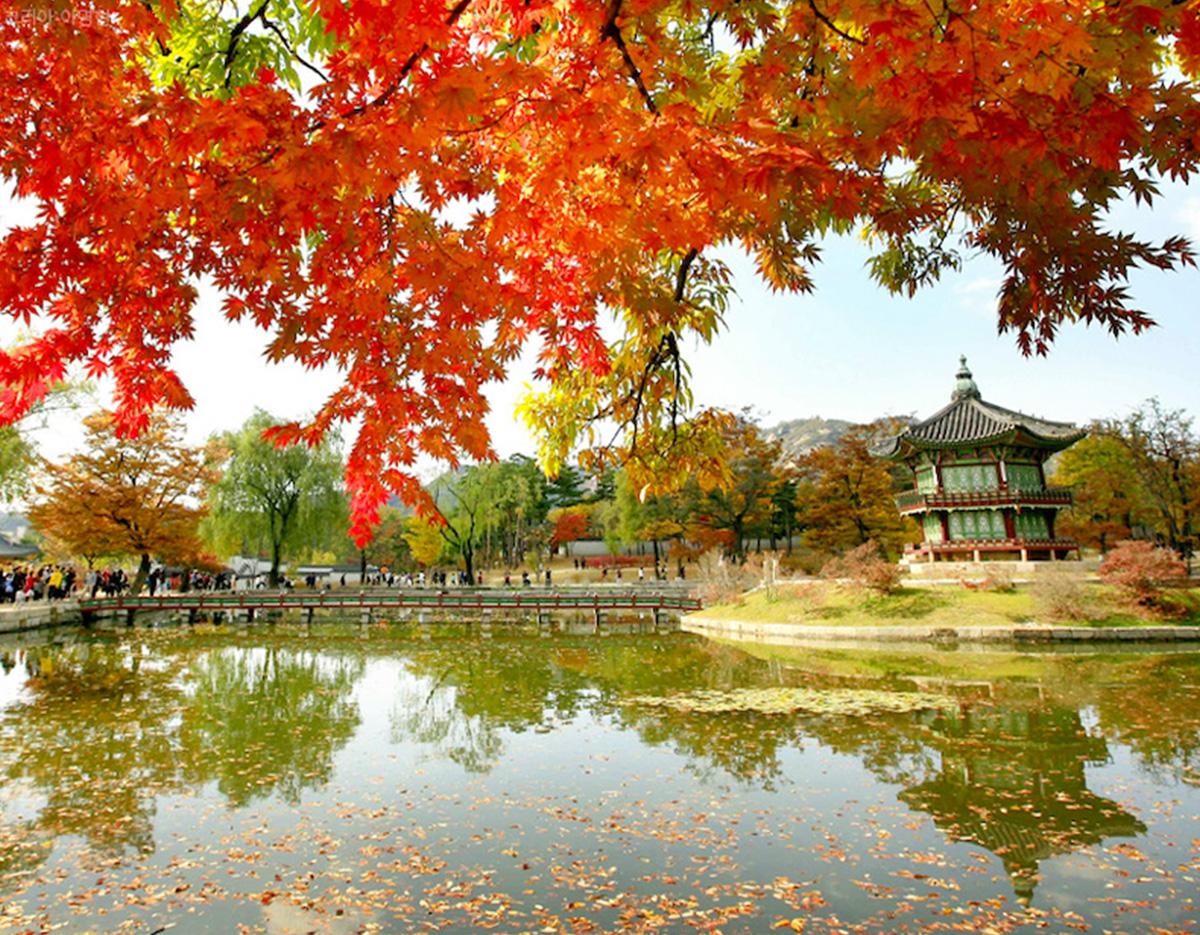 Autumn maple branches with red leaves framing a serene palace pavilion reflected in a pond at a Seoul royal palace garden
