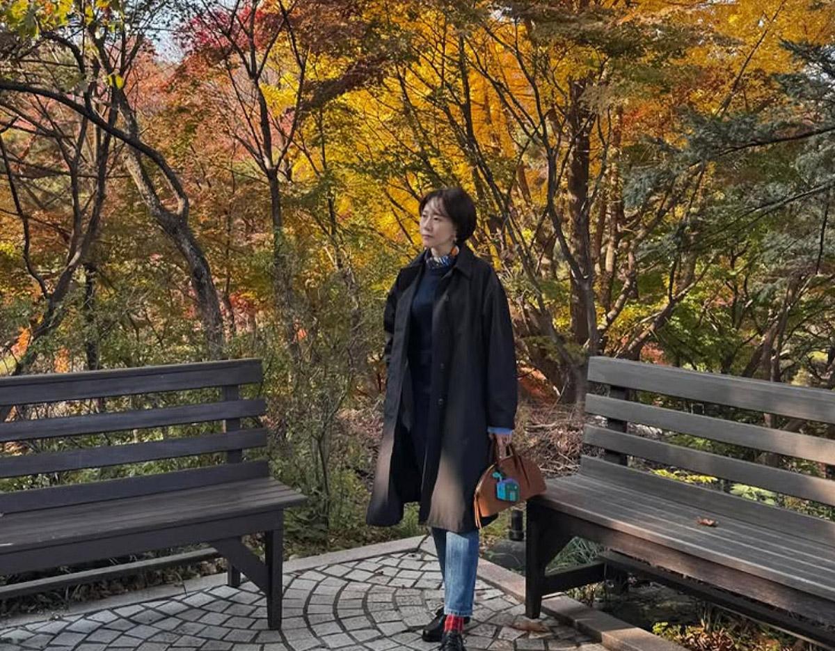 Nami Island & Autumn Maple Road & Theatre des Lumieres Day Tour from Seoul