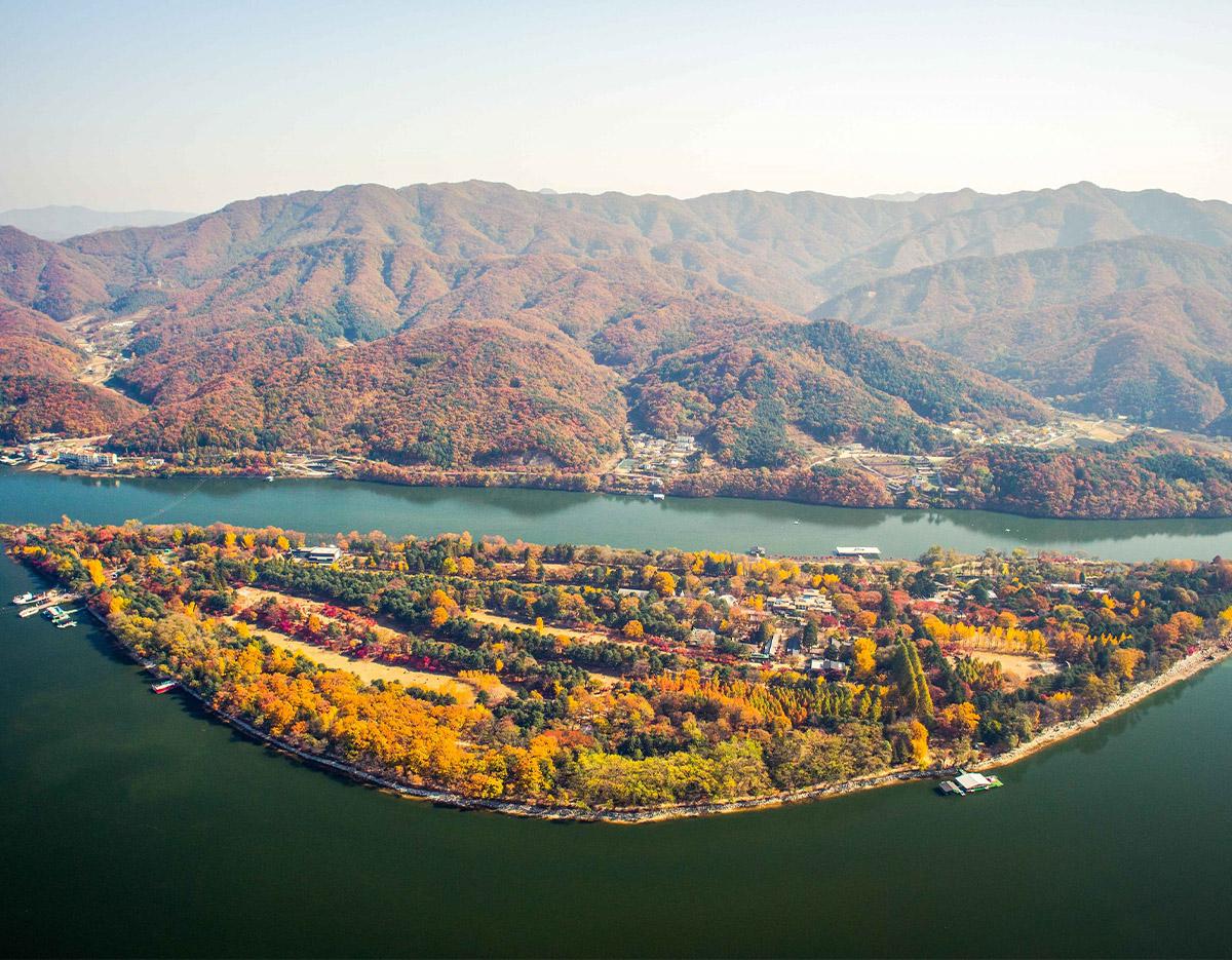 Nami Island & Autumn Maple Road & Theatre des Lumieres Day Tour from Seoul