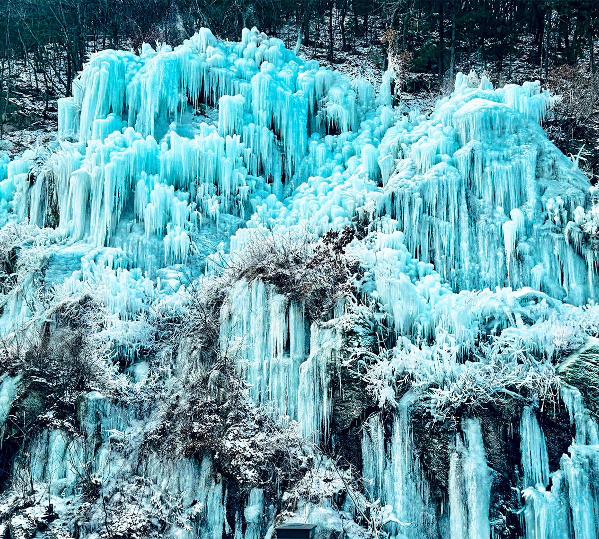 加平魚飛溪谷/摘草莓體驗/伊利希安江村滑雪一日遊（首爾出發）-image