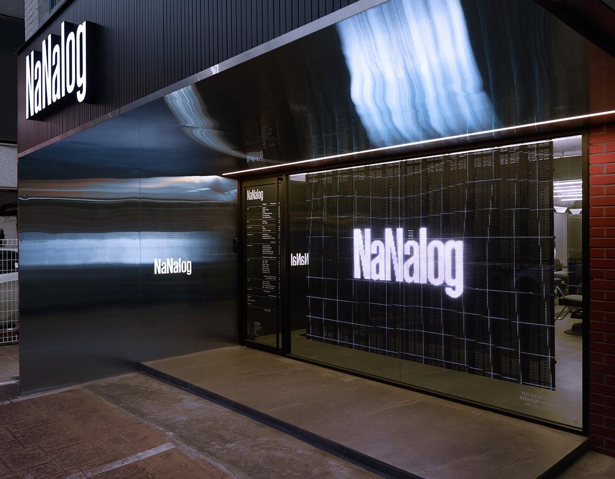 nanalog