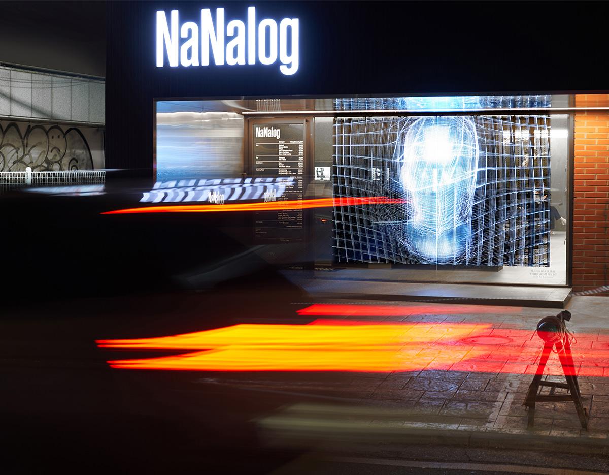 nanalog