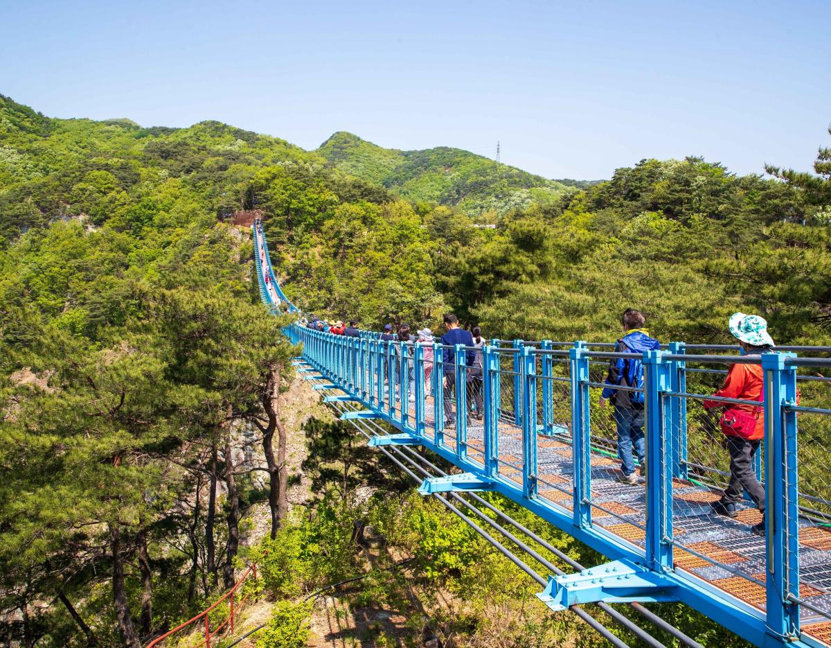 Wonju, the heart of Samyang Buldak and Jungkwanjang Ginseng Day Tour from Seoul