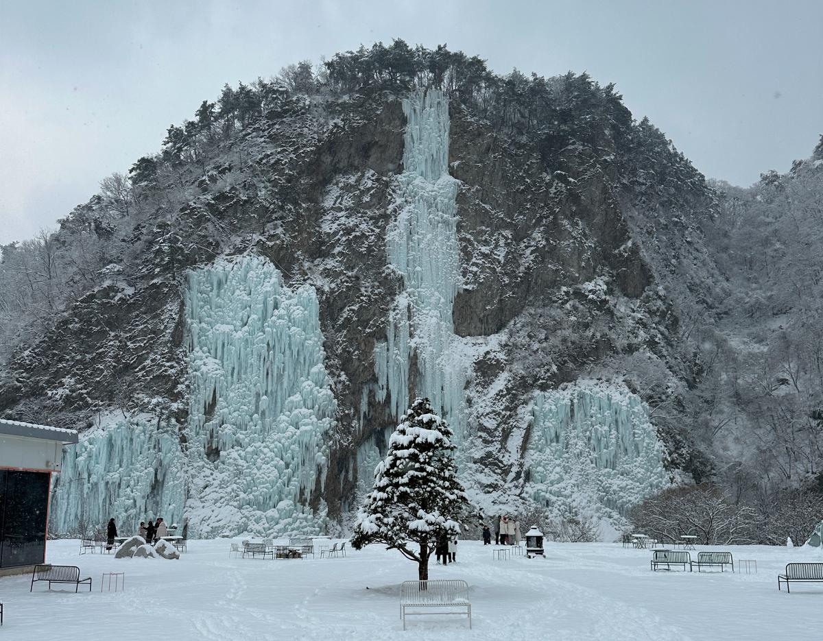 Wonju, the heart of Samyang Buldak and Jungkwanjang Ginseng Day Tour from Seoul