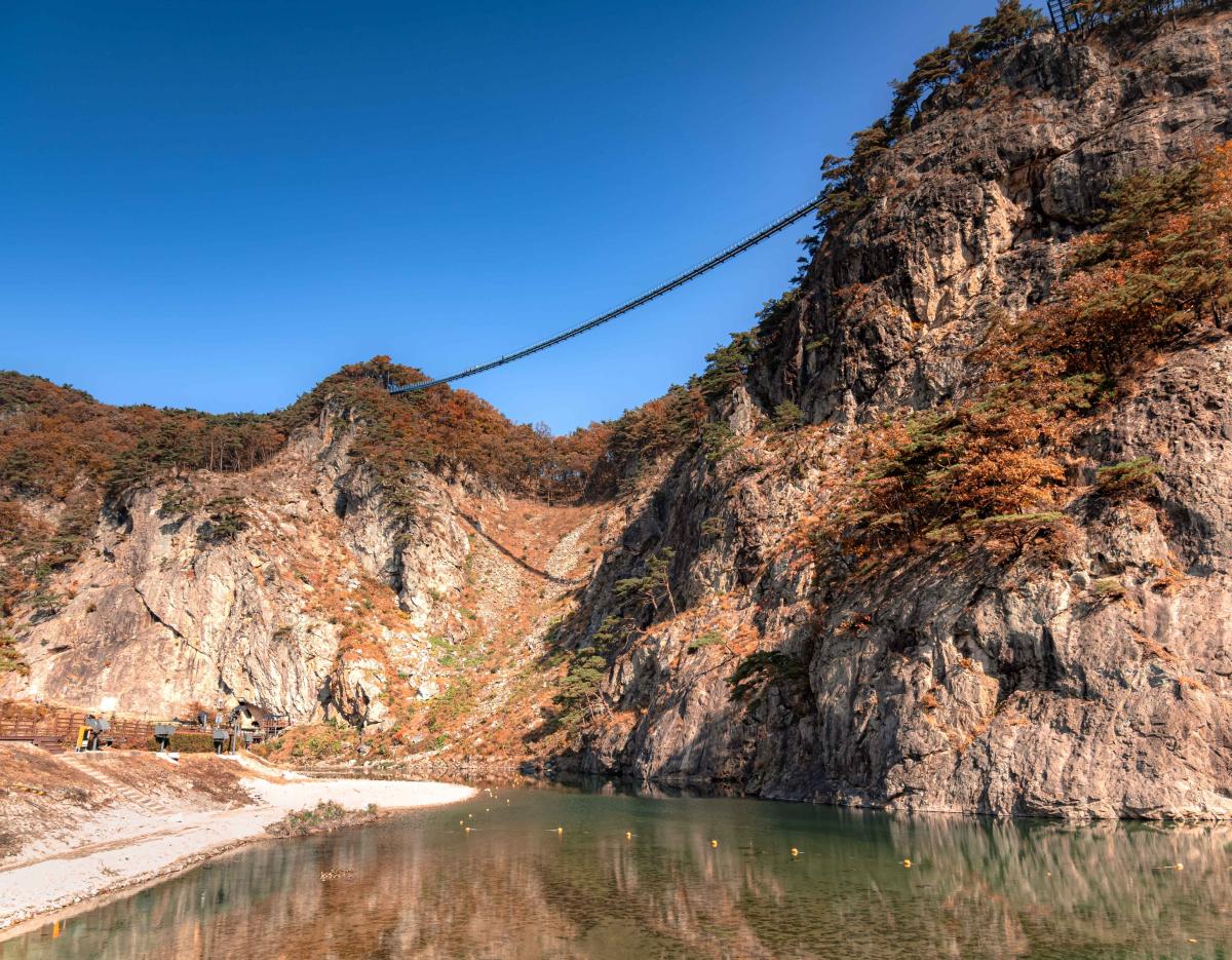 Wonju, the heart of Samyang Buldak and Jungkwanjang Ginseng Day Tour from Seoul