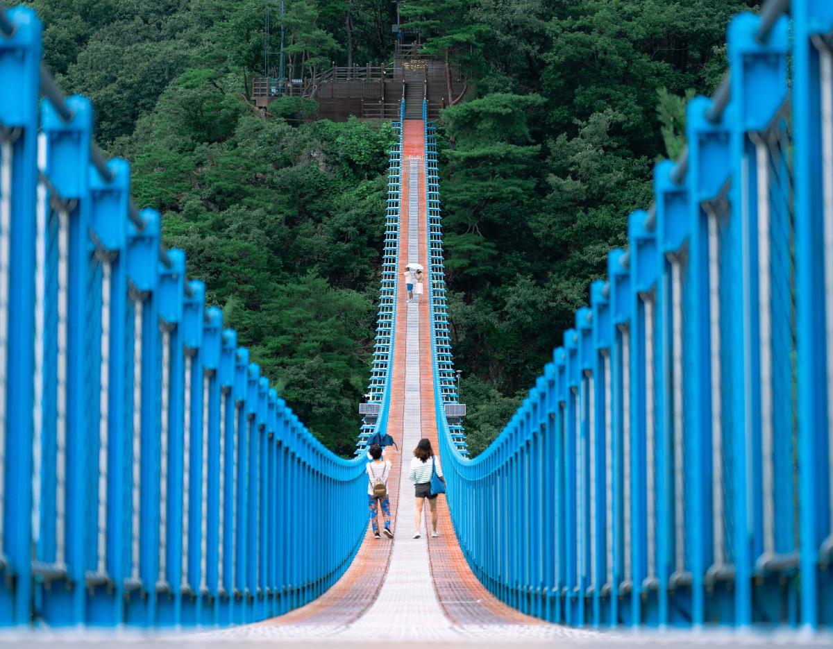 Wonju, the heart of Samyang Buldak and Jungkwanjang Ginseng Day Tour from Seoul