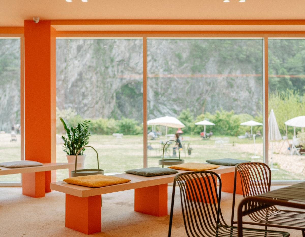 Wonju, the heart of Samyang Buldak and Jungkwanjang Ginseng Day Tour from Seoul