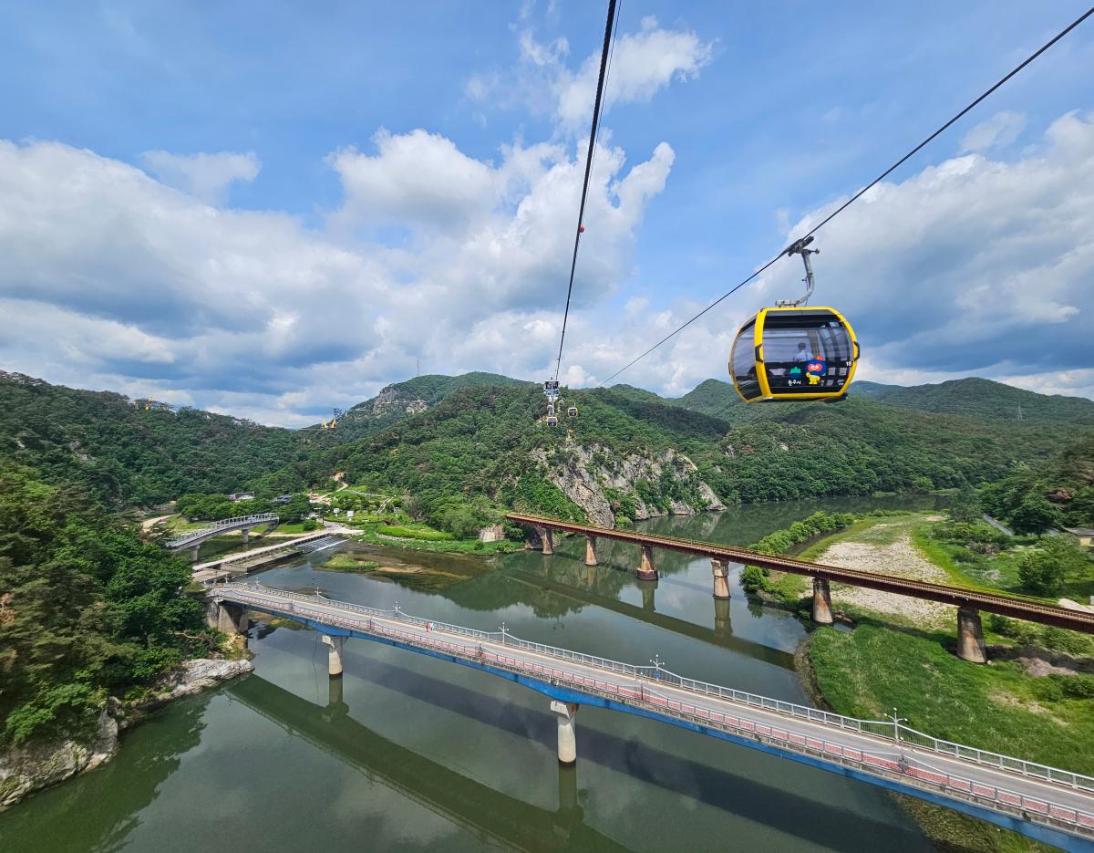 Wonju, the heart of Samyang Buldak and Jungkwanjang Ginseng Day Tour from Seoul