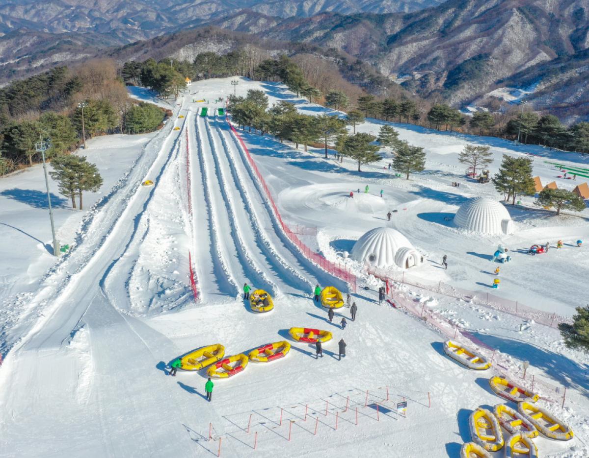 Snowy Land + Begonia / Mystery Zoo / Alpaca World One-Day Tour (Departing from Seoul)