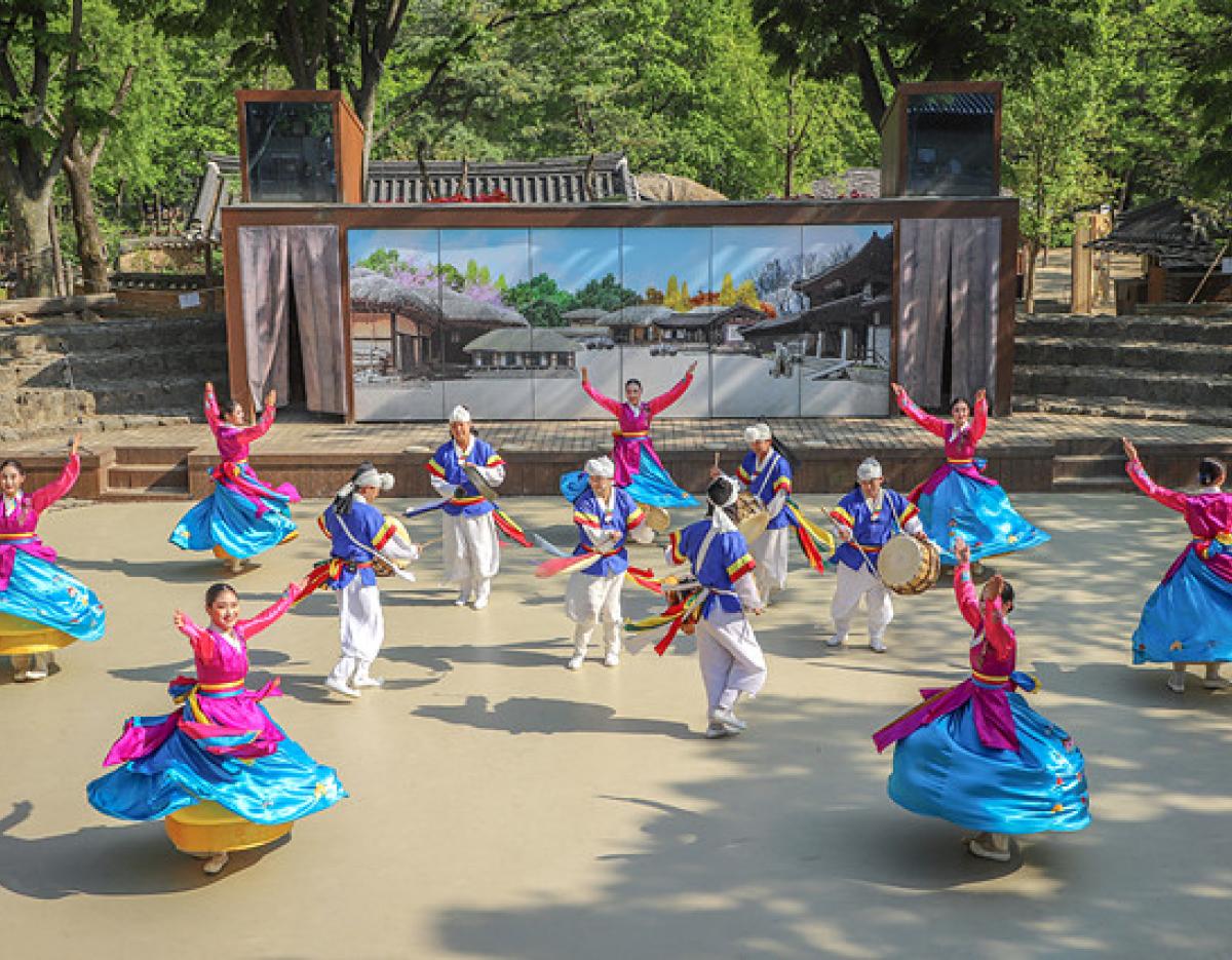 Seoul Kyochon Chicken Experience Half or Day Tour