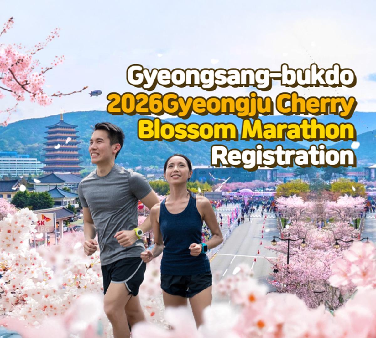 慶州桜マラソン🌸 | 桜トンネルランニングフェスティバル 1