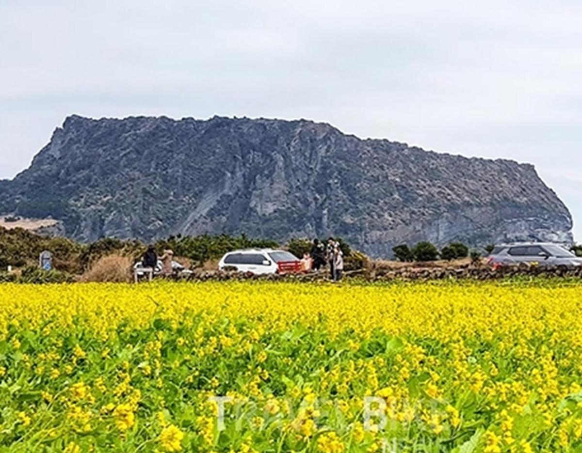 Jeju UNESCO East Small Group Tour